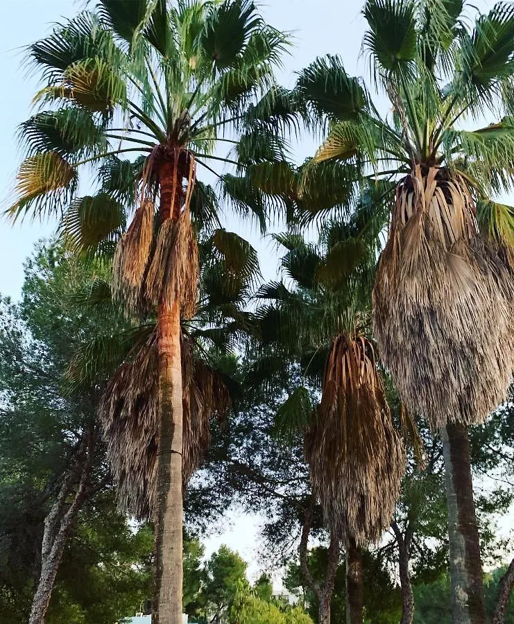 Campo De Golf Ibiza- Roca Lisa Bed & Breakfast Santa Eularia des Riu